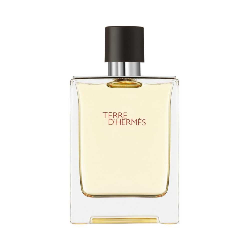 Hermès Terre d’Hermès – 100ml EDT-spray – Herenparfum