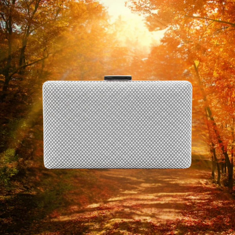 Lina | Avondtas Zilver Mocano | Laatste Dag 80% Korting