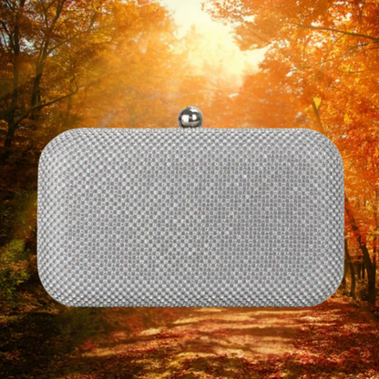 Nora | Zilveren Clutch Tasje Met Strass | Laatste Dag 80% Korting