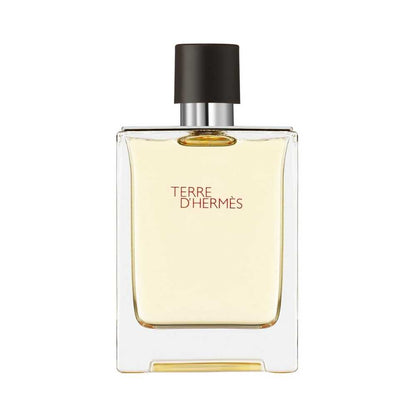 Hermès Terre d’Hermès – 100ml EDT-spray – Herenparfum